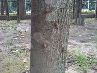 10351001_659124820844049_7940516396073793104_n