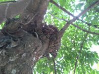 10417459_658146027608595_7123683122403169408_n