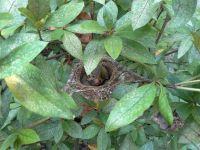 10418513_658146057608592_4626232051480478574_n