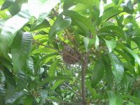 10478136_657106791045852_4433893012623082728_n