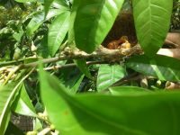 10320430_658146094275255_604966301276238419_n