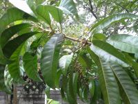 10398090_657106771045854_2052845464609257660_n