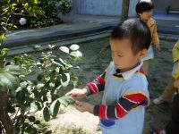 1-SY20121029010535-373_xl